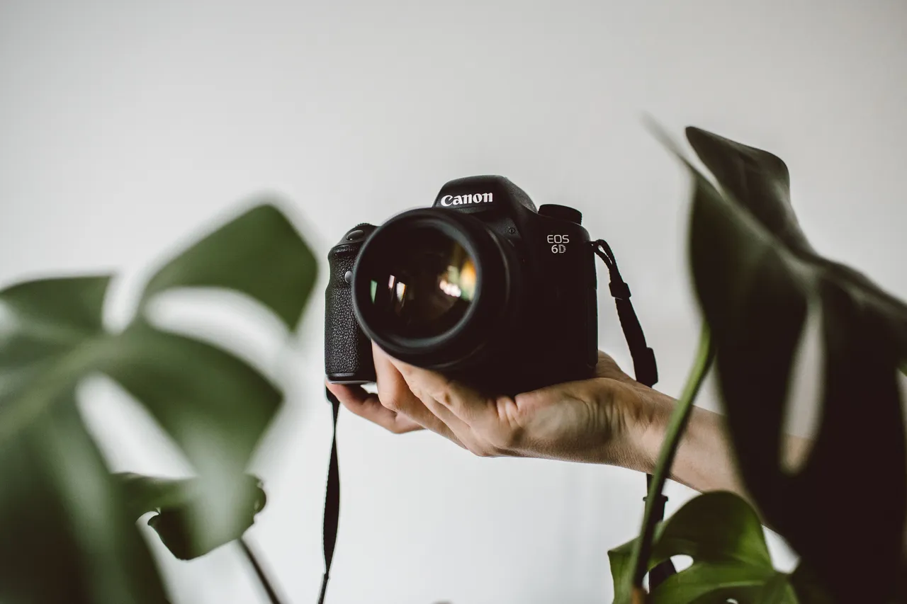 Tips For Growing Your Photography Business in 2021 - tips growing photography business 2021